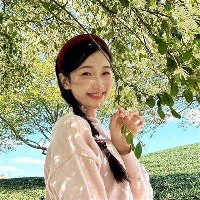 山中森林
