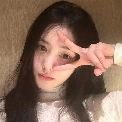 追梦小海豚